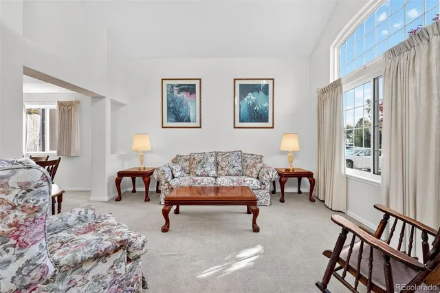 a living room with furniture gym equipment and a rug
