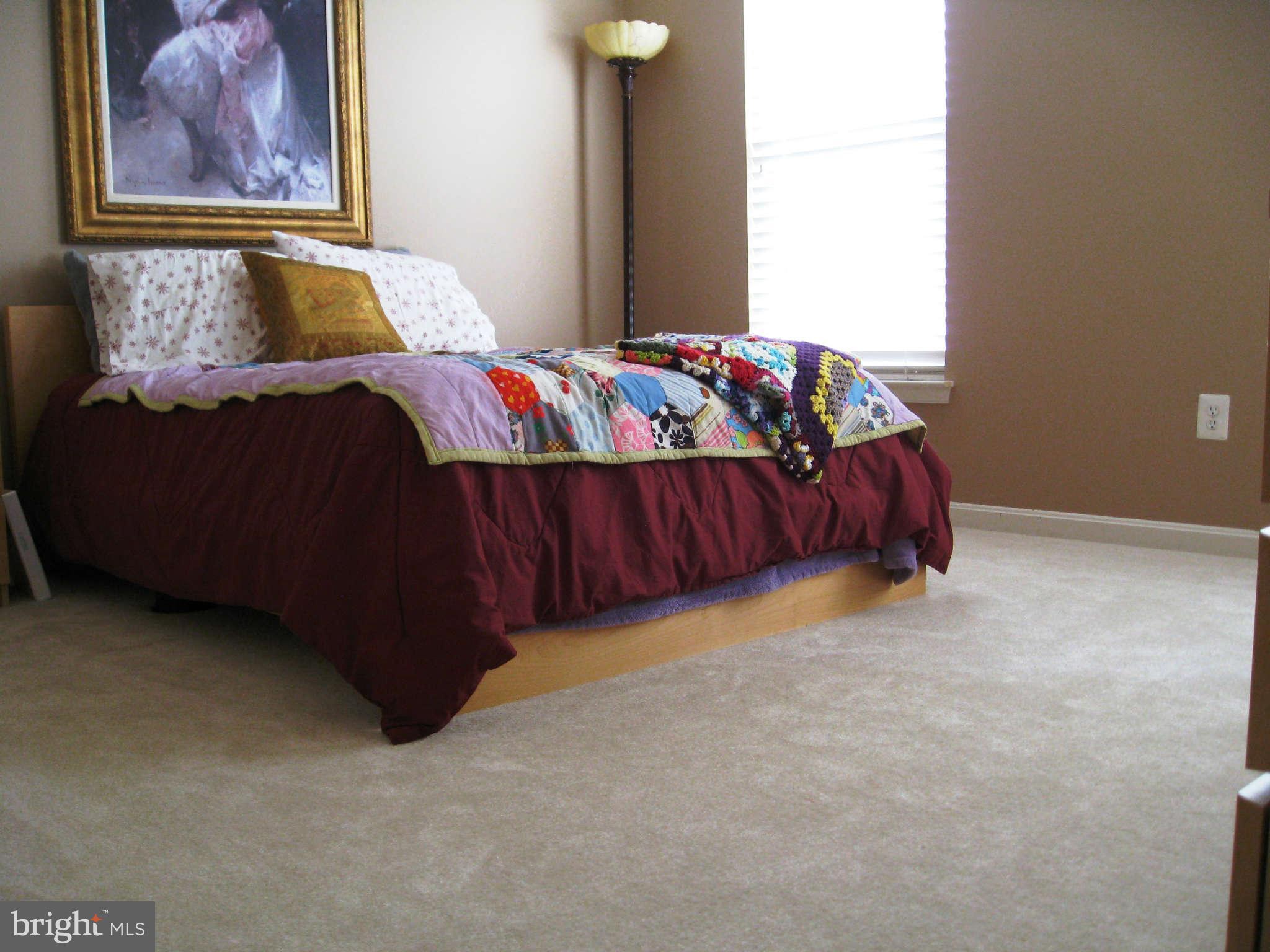 9004 Ribbon Falls Loop Bristow, VA 20136 - Photo 20 of 27 Bedroom