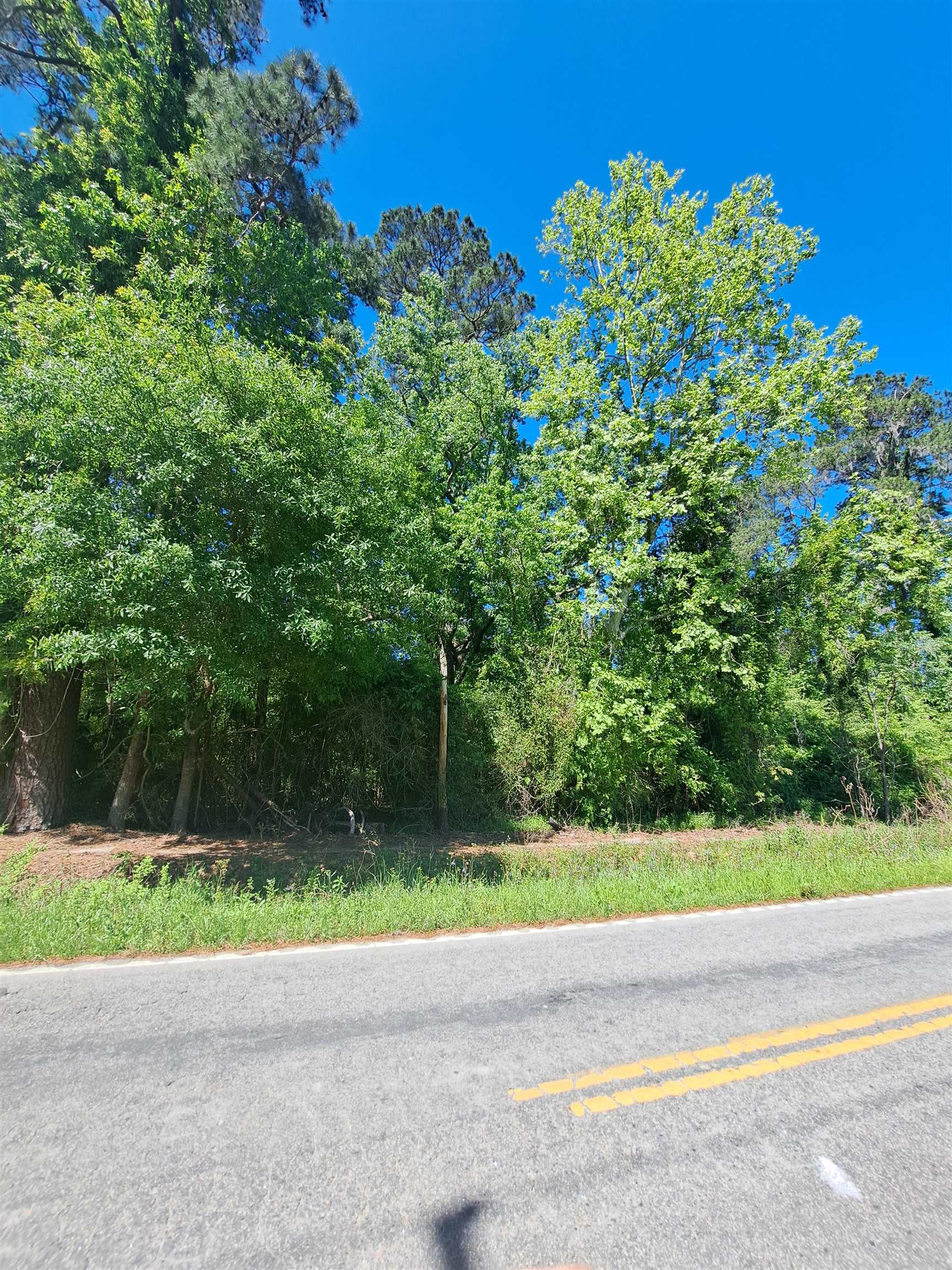 Tbd Lot B Bucksport Road Conway, SC 29527 - Photo 4 of 9