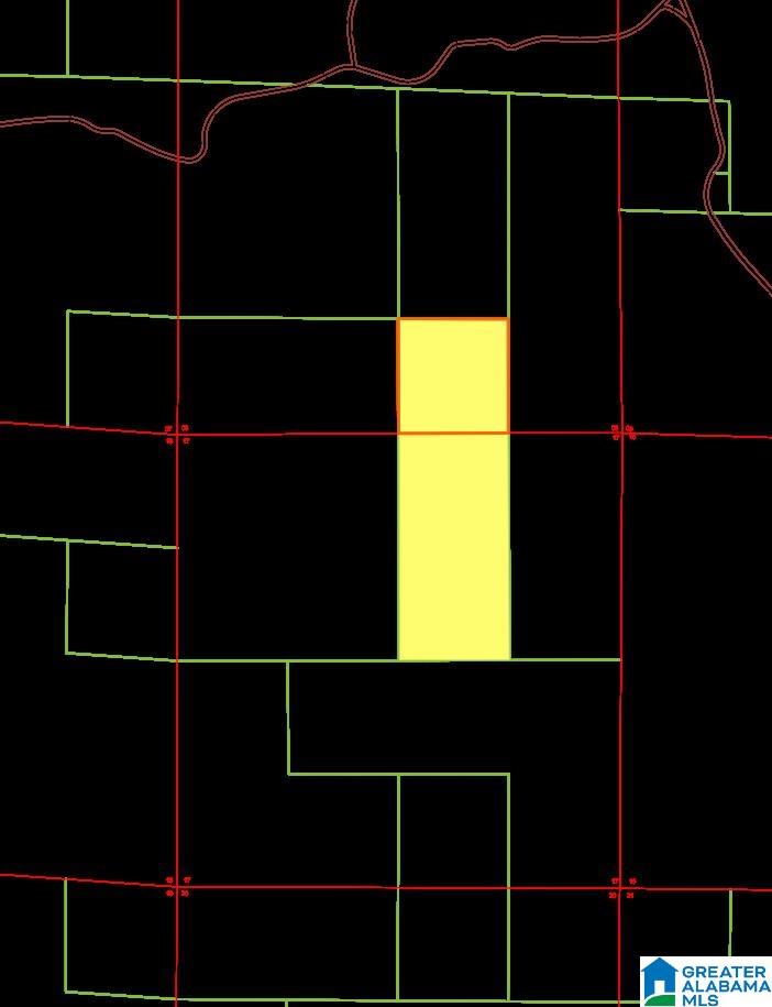 Lot Wp Lot Wp Road, Unit 1 Berry, AL 35546 - Photo 3 of 5