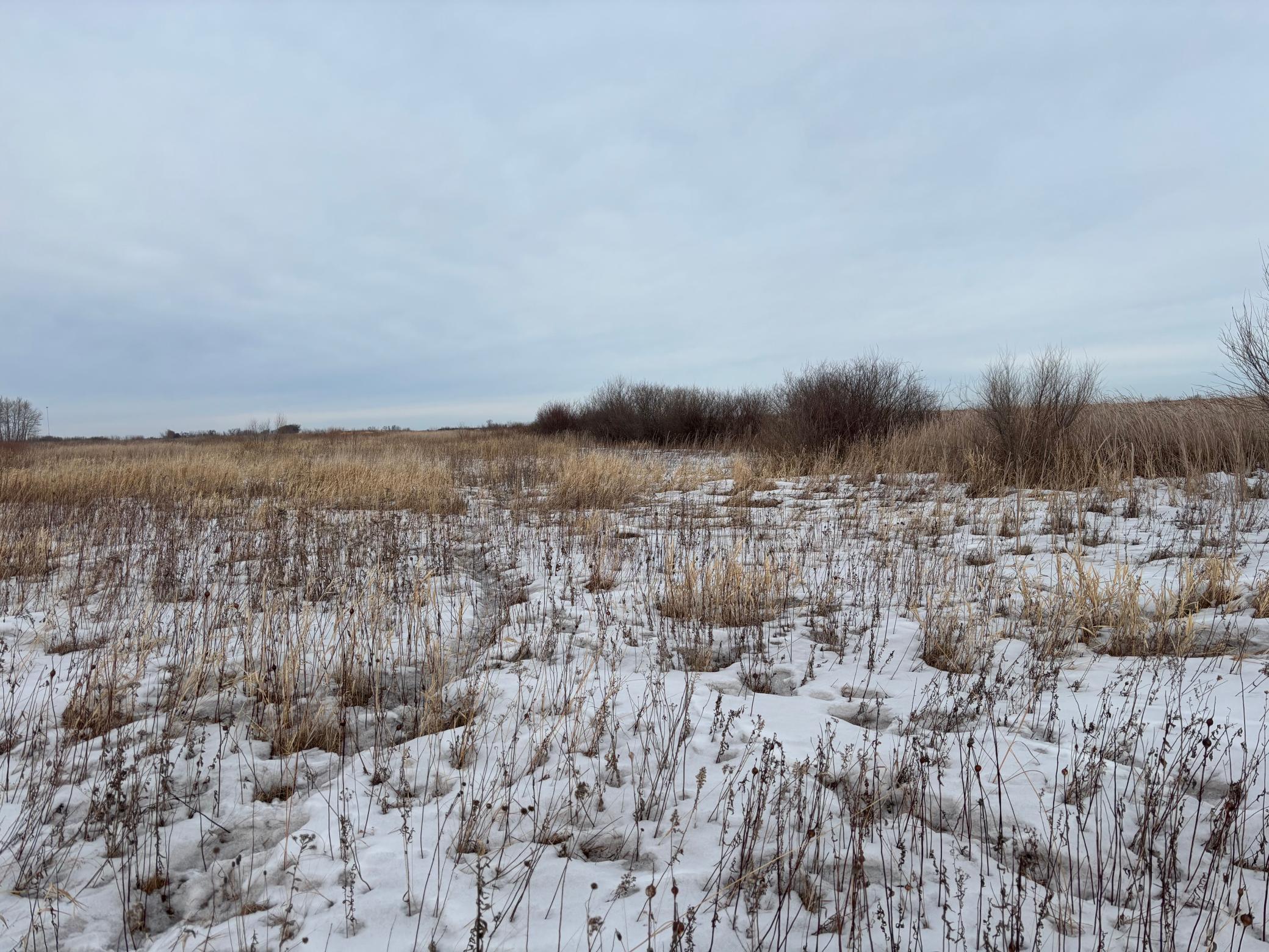 59 Marsh Creek Mahnomen, MN 56557 - Photo 11 of 13