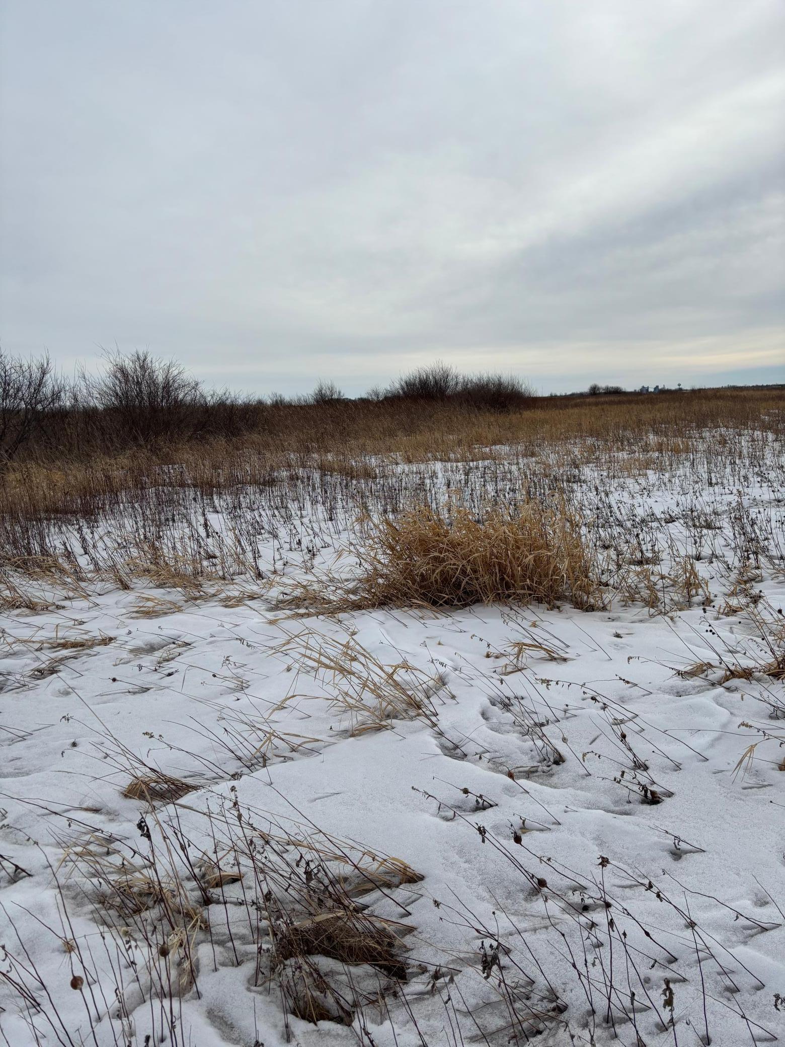 59 Marsh Creek Mahnomen, MN 56557 - Photo 4 of 13