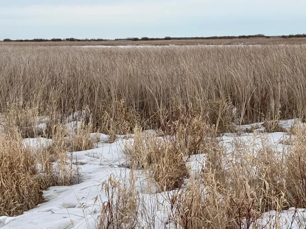 $175,000 | 59 Marsh Creek, Mahnomen, MN 56557