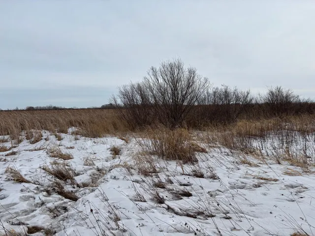 $175,000 | 59 Marsh Creek, Mahnomen, MN 56557