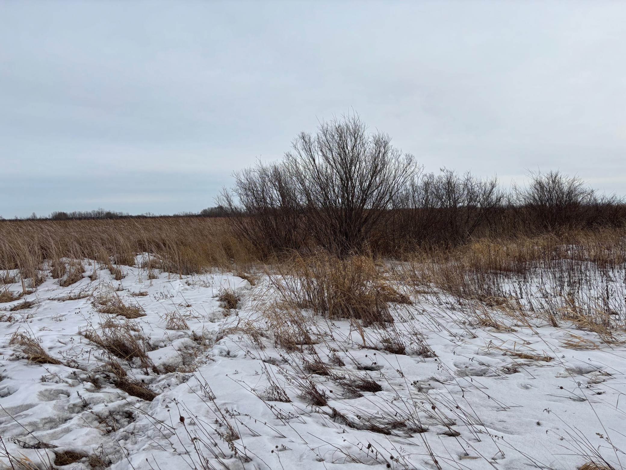 59 Marsh Creek Mahnomen, MN 56557 - Photo 10 of 13