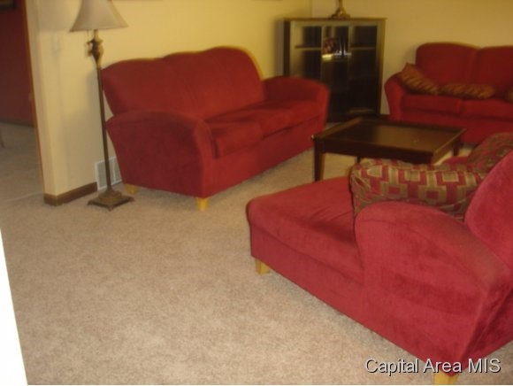 19 Rainbow Road Springfield, IL 62712 - Photo 11 of 23