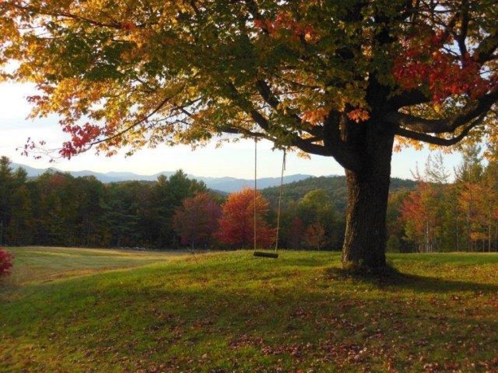 114 Thompson Hill Road Center Conway, NH 03813 - Photo 27 of 38