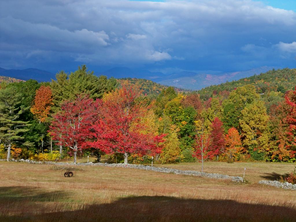 114 Thompson Hill Road Center Conway, NH 03813 - Photo 28 of 38