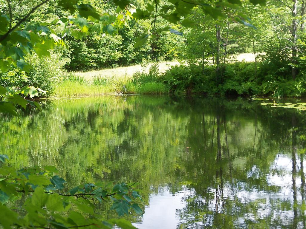 114 Thompson Hill Road Center Conway, NH 03813 - Photo 34 of 38