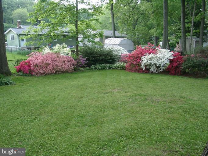 209 Rolling Road Gaithersburg, MD 20877 - Photo 20 of 24 Backyard