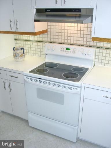 209 Rolling Road Gaithersburg, MD 20877 - Photo 6 of 24 Kitchen Cooktop and Vent