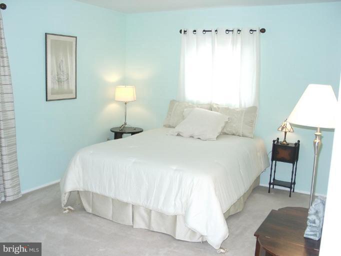 209 Rolling Road Gaithersburg, MD 20877 - Photo 10 of 24 Master Bedroom