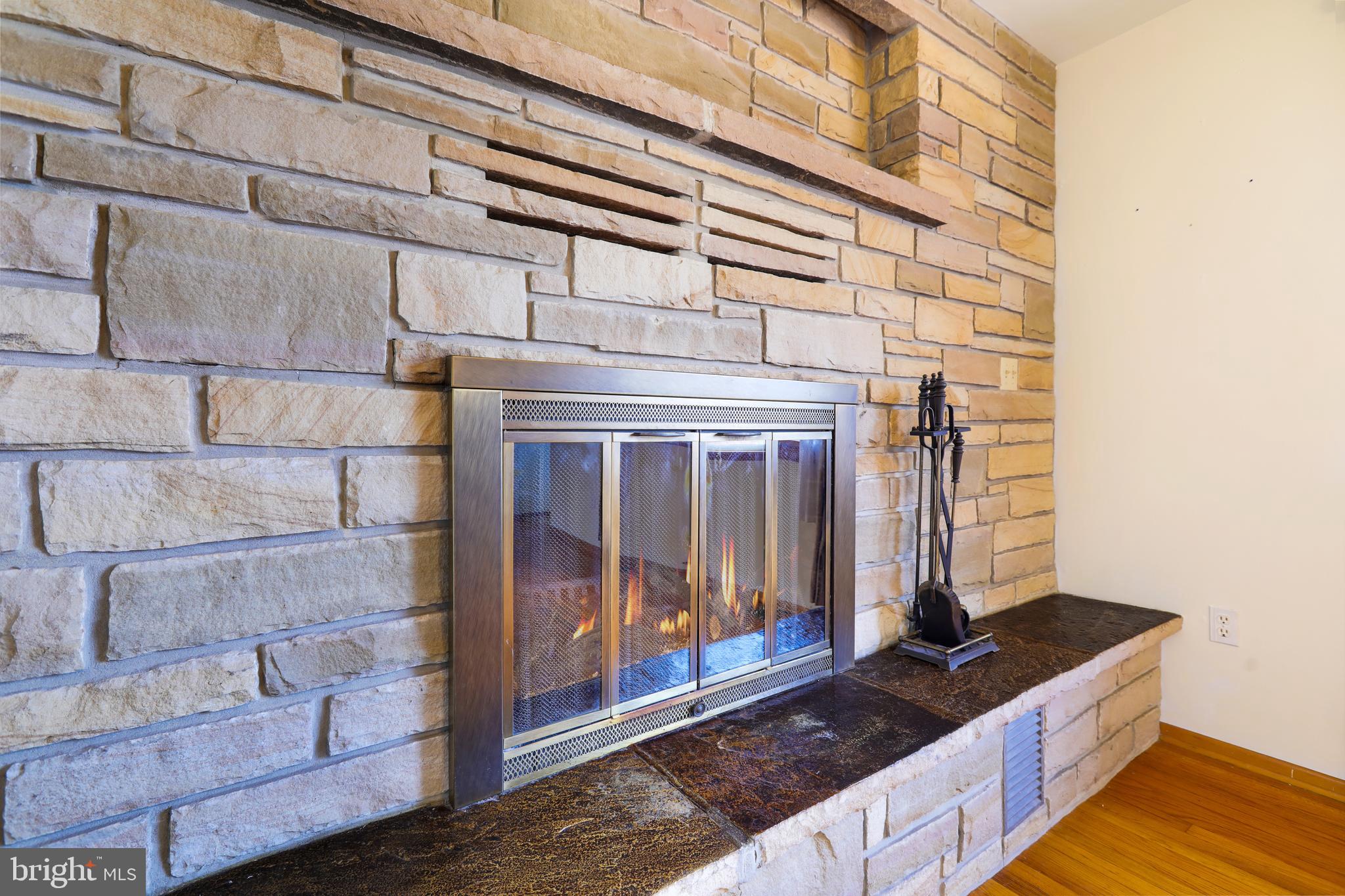13804 Brant Road Southwest Cresaptown, MD 21502 - Photo 3 of 29 Get a load of this stone surround!