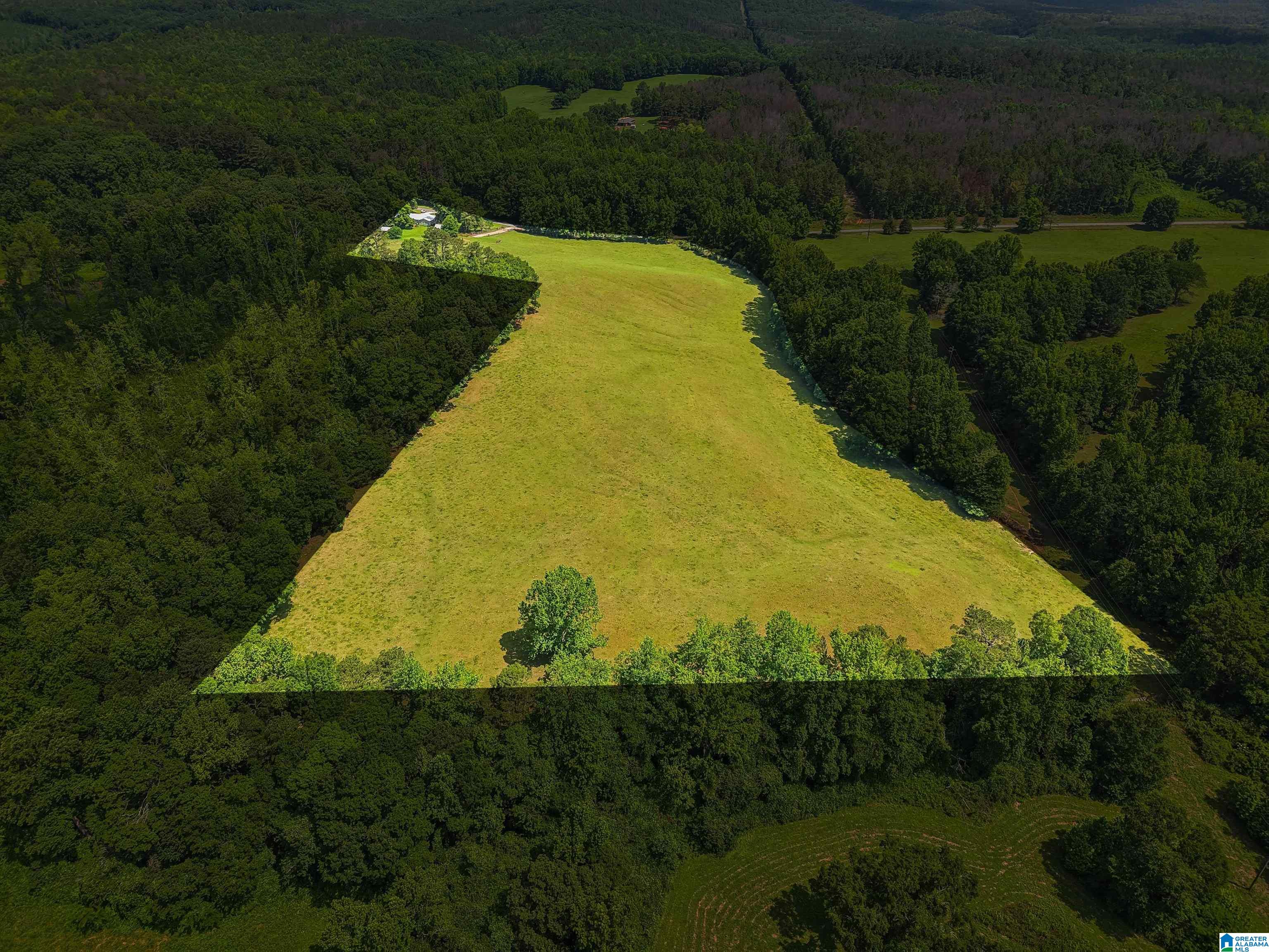 2026 Tyson Road Ashland, AL 36251 - Photo 17 of 63