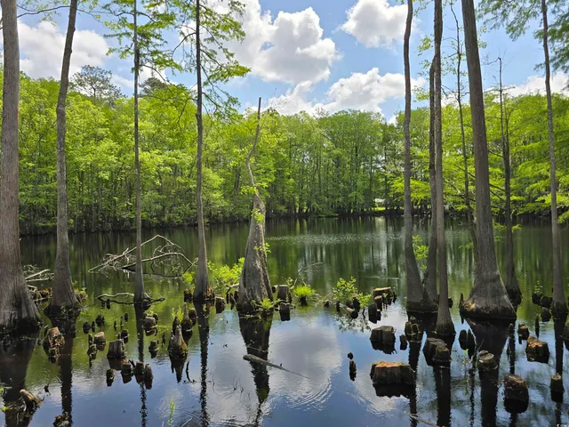 $85,000 | Lot 17 Rowe Pond Road, Conway, SC 29526