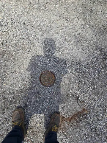 $85,000 | Lot 17 Rowe Pond Road, Conway, SC 29526