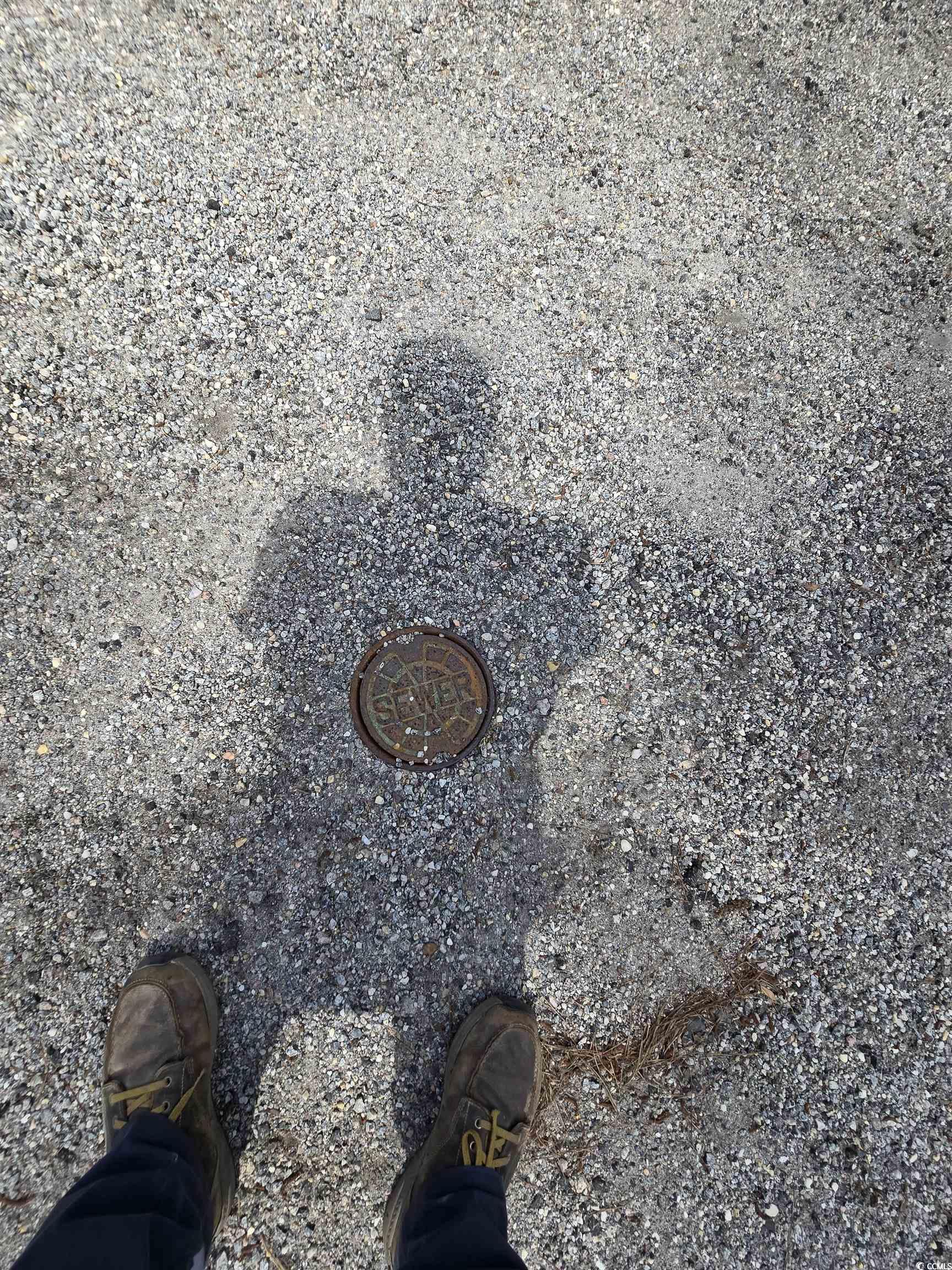 Lot 17 Rowe Pond Road Conway, SC 29526 - Photo 3 of 16 Detailed view