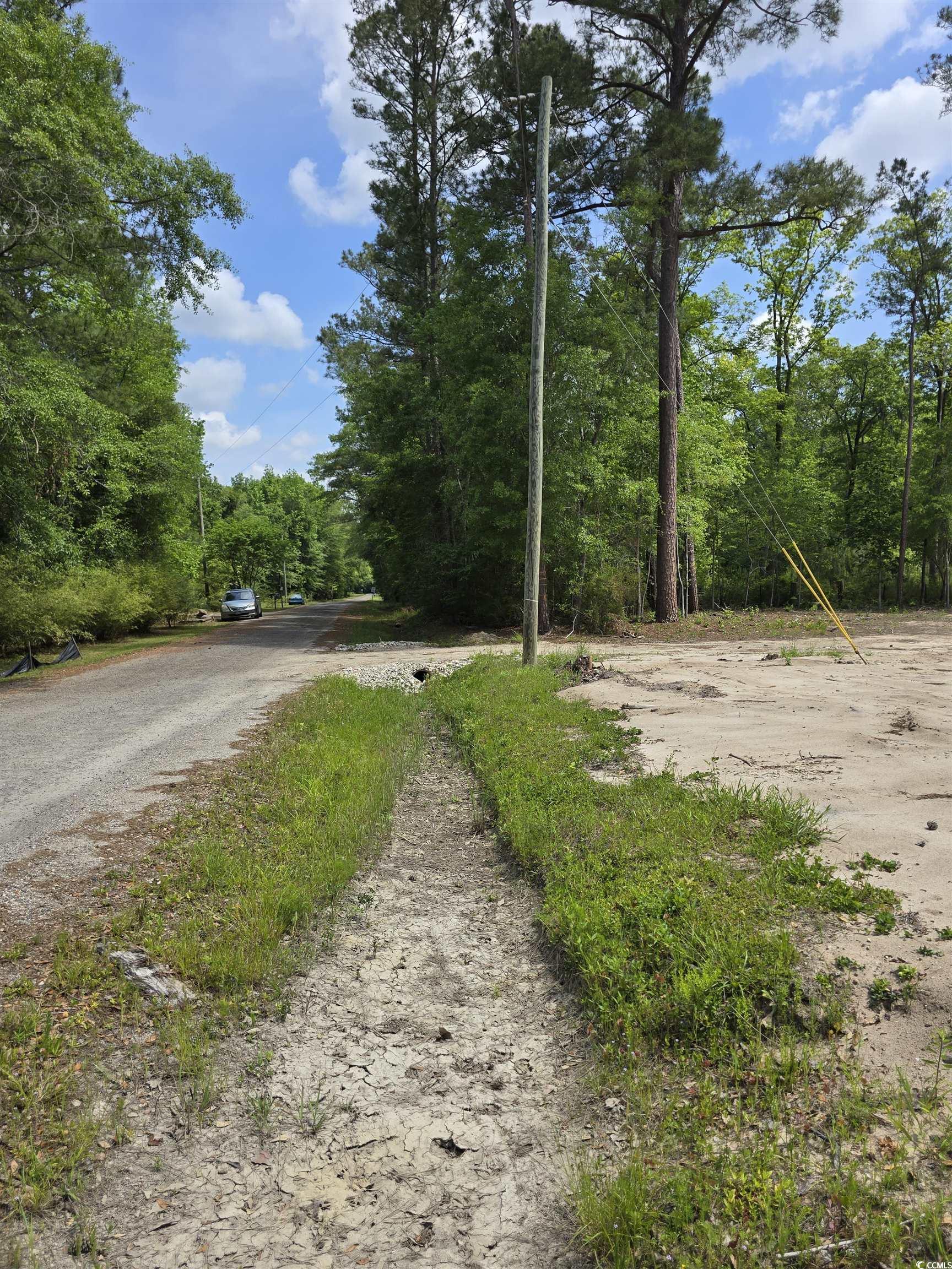 Lot 17 Rowe Pond Road Conway, SC 29526 - Photo 5 of 16 View of asphalt street with a view of trees