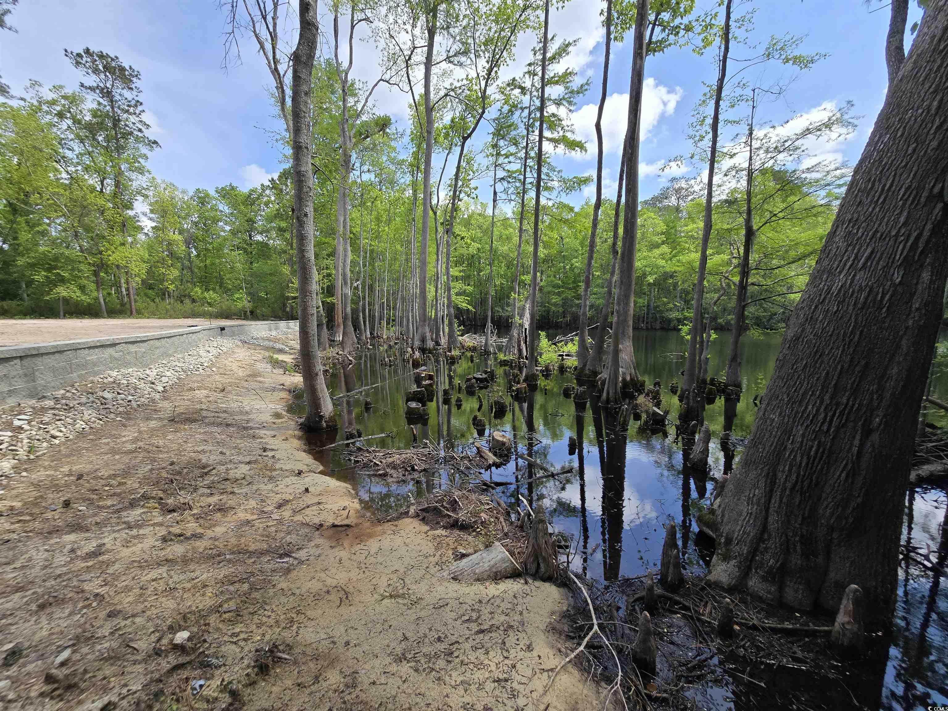 Lot 17 Rowe Pond Road Conway, SC 29526 - Photo 8 of 16 Water view