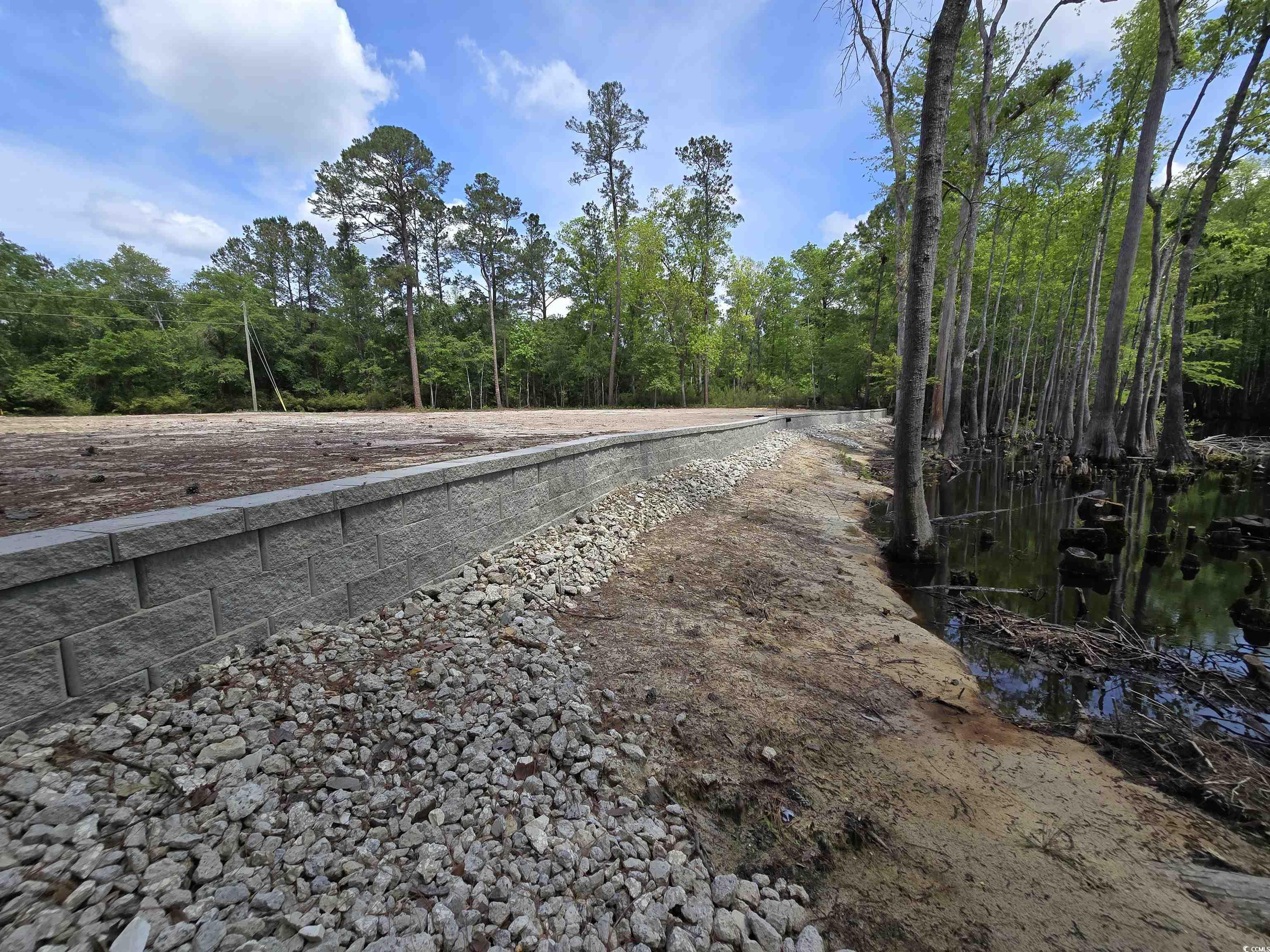 Lot 17 Rowe Pond Road Conway, SC 29526 - Photo 9 of 16 View of road with a forest view
