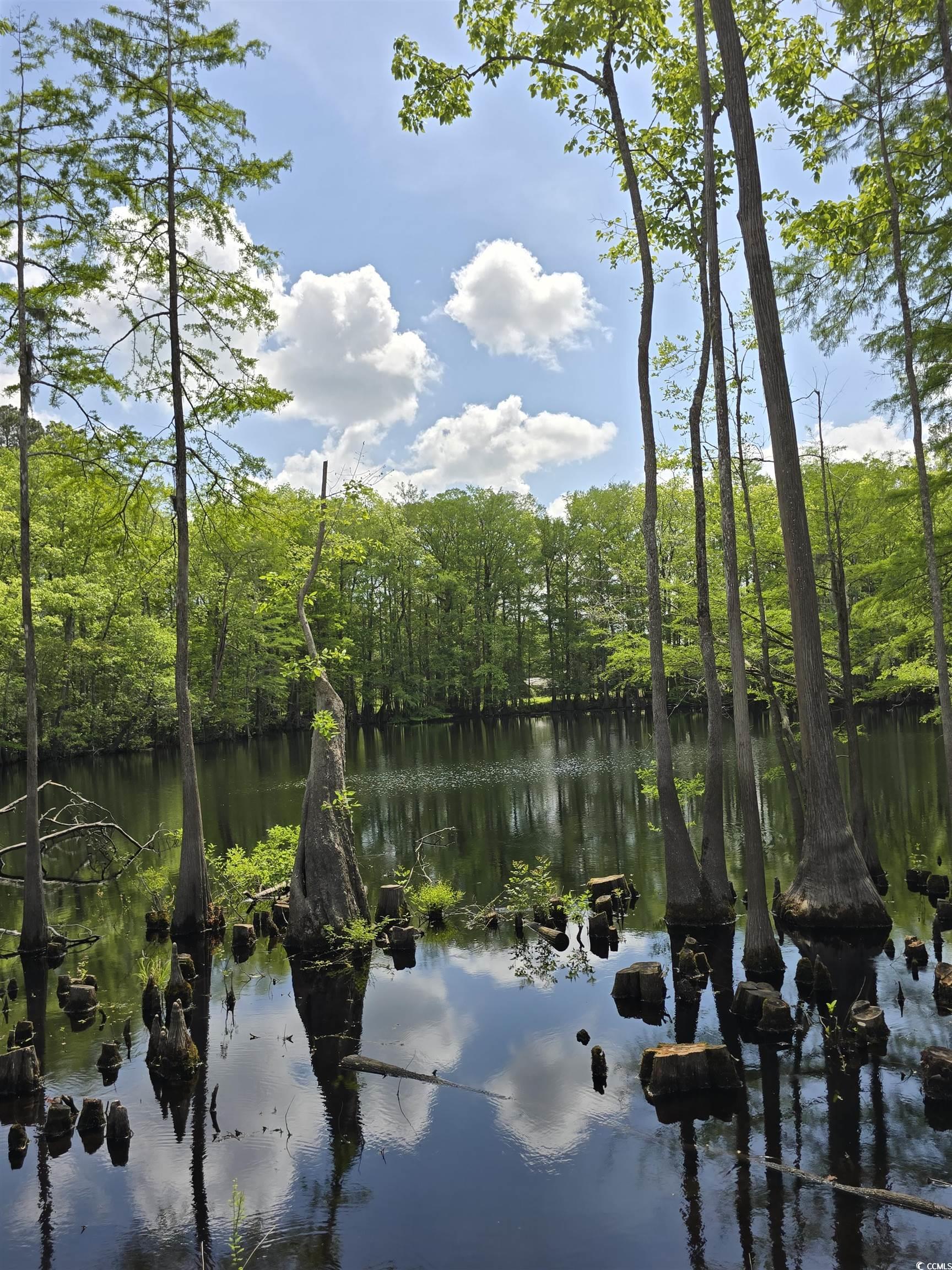 Lot 17 Rowe Pond Road Conway, SC 29526 - Photo 10 of 16 Water view