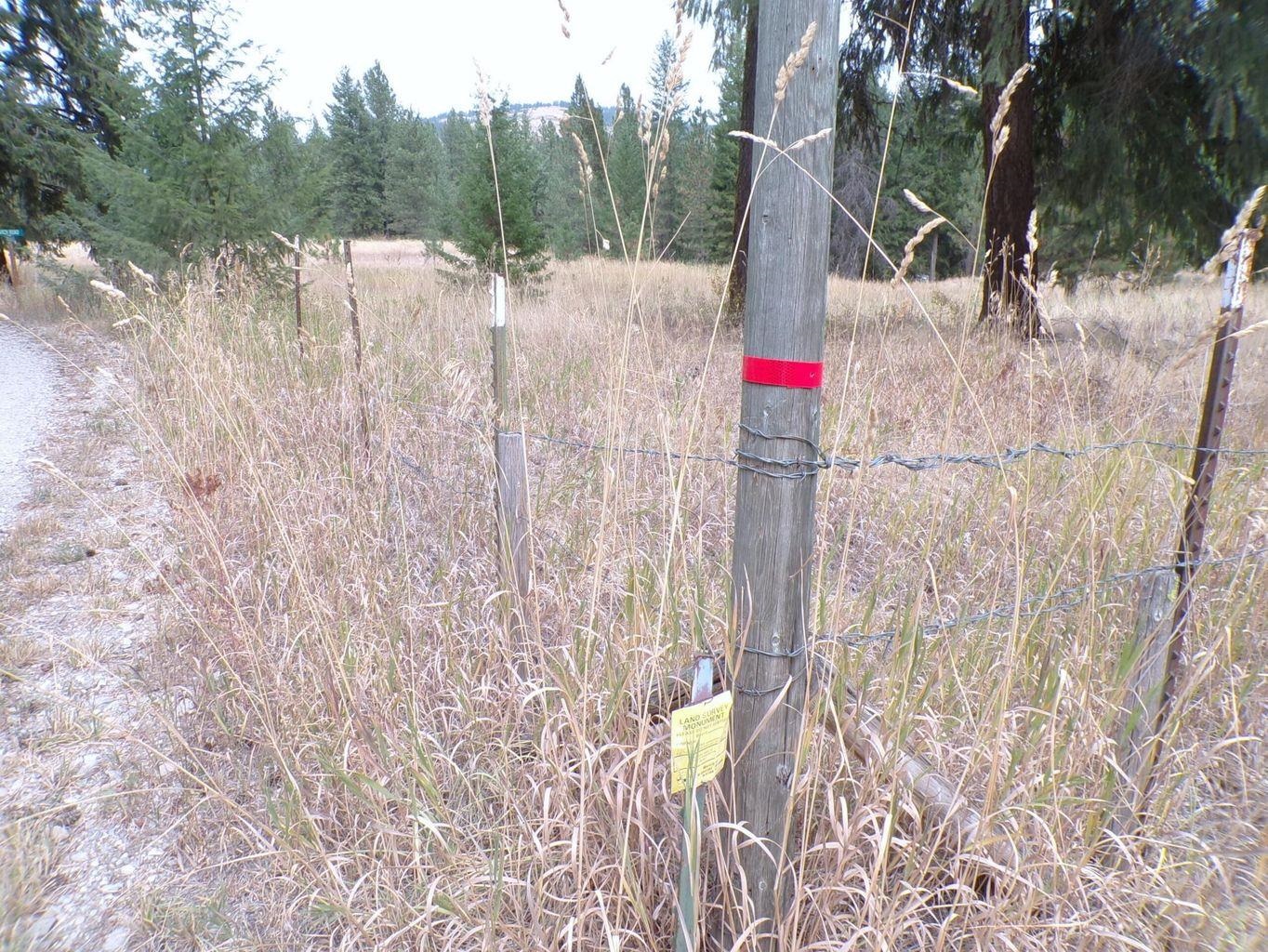 Xx Cedar Crk Road Inchelium, WA 99138 - Photo 15 of 28 Gallery Image 15