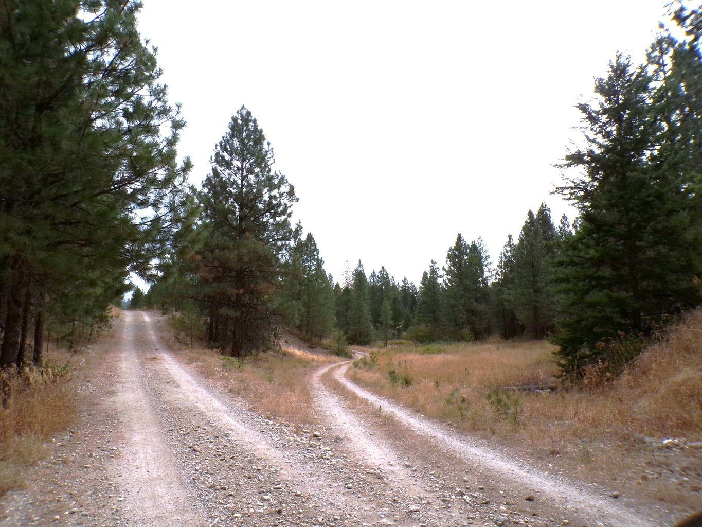 Xx Cedar Crk Road Inchelium, WA 99138 - Photo 16 of 28 Gallery Image 16