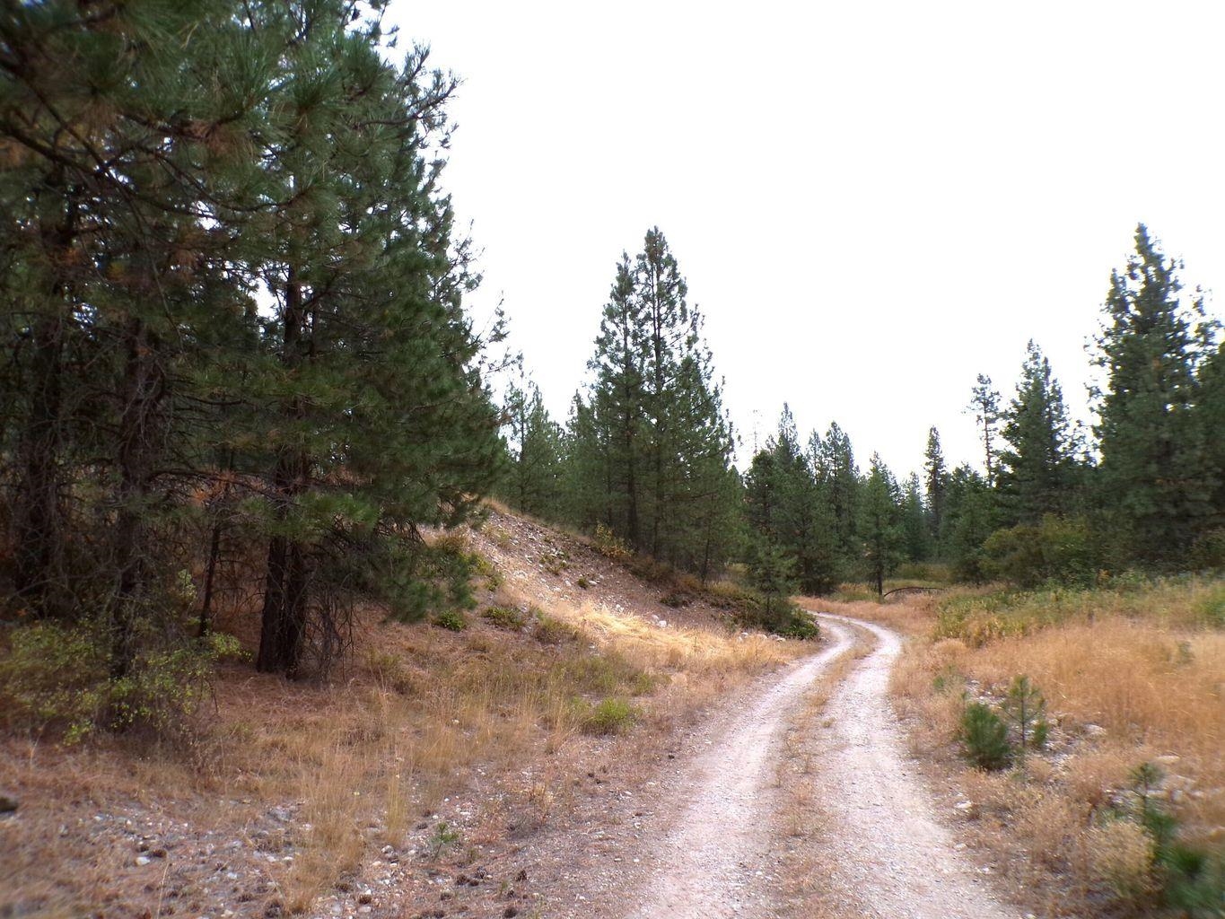 Xx Cedar Crk Road Inchelium, WA 99138 - Photo 17 of 28 Gallery Image 17