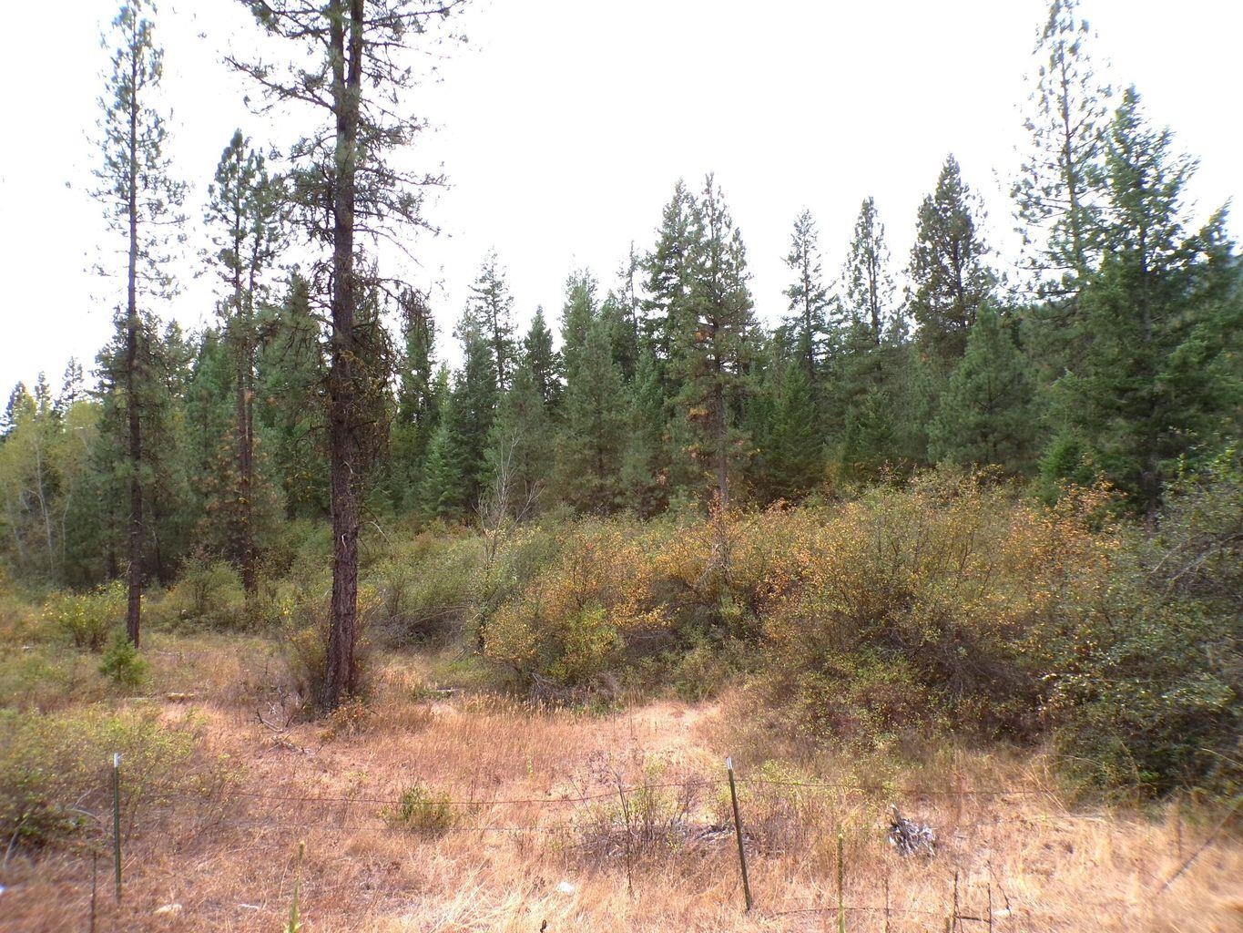 Xx Cedar Crk Road Inchelium, WA 99138 - Photo 18 of 28 Gallery Image 18