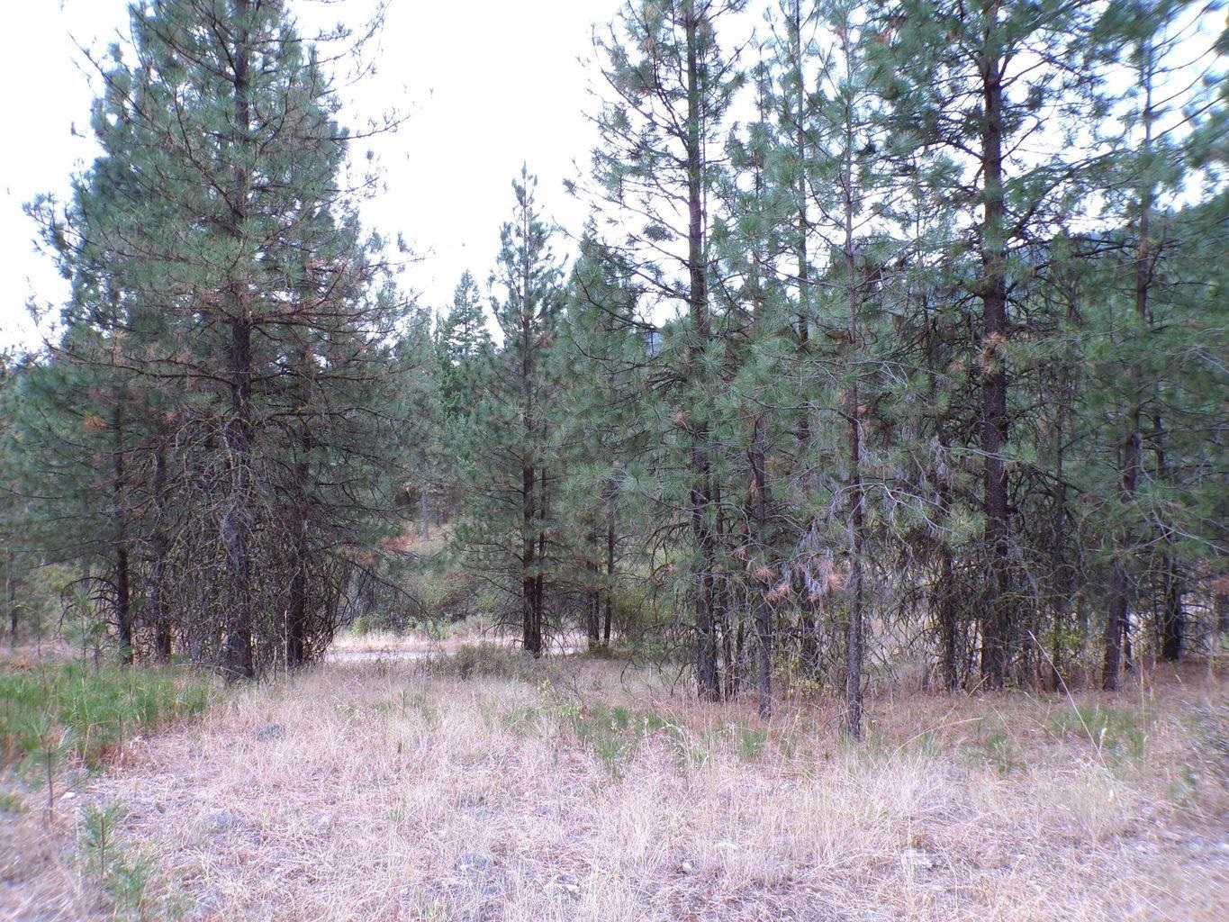 Xx Cedar Crk Road Inchelium, WA 99138 - Photo 21 of 28 Gallery Image 21