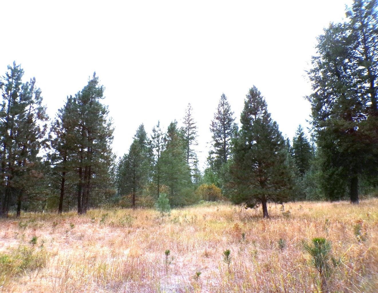 Xx Cedar Crk Road Inchelium, WA 99138 - Photo 8 of 28 Gallery Image 8