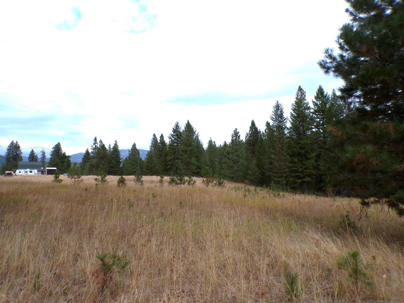Xx Cedar Crk Road Inchelium, WA 99138 - Photo 9 of 28 Gallery Image 9