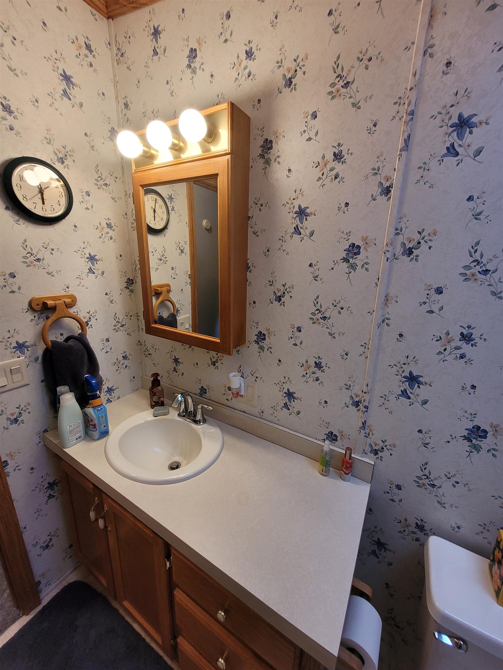 3365 South Baldwin Road Ithaca, MI 48847 - Photo 30 of 51