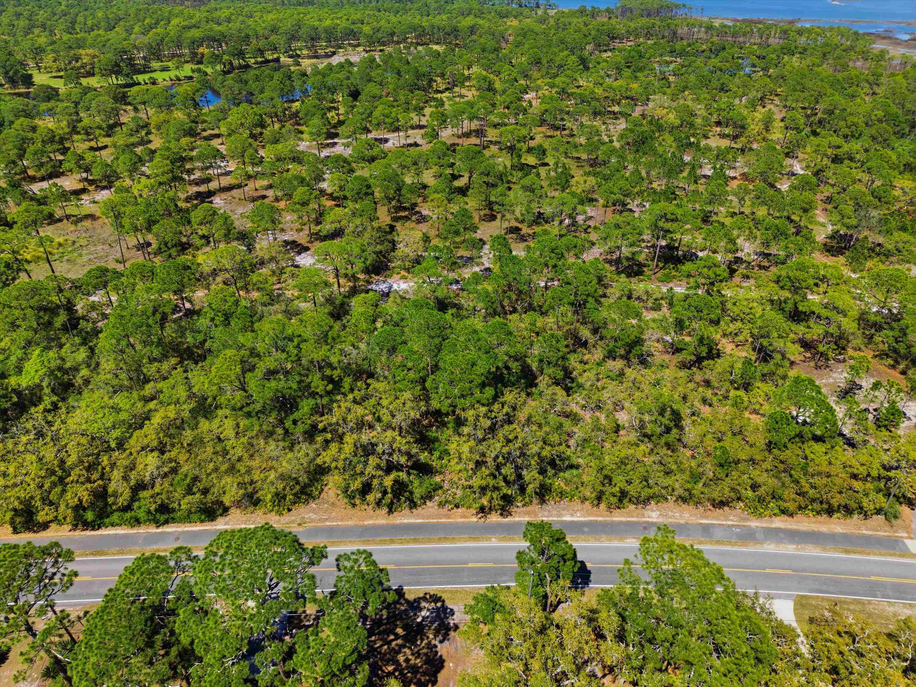 Xxx Mashes Sands Road Panacea, FL 32346 - Photo 19 of 23
