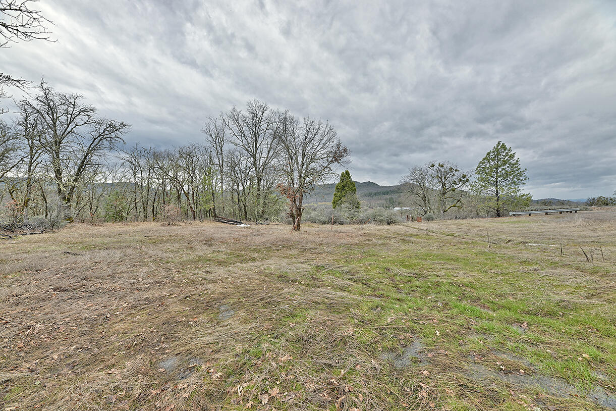 13546 Highway 140 Eagle Point, OR 97524 - Photo 3 of 24 a view of large yard with large trees