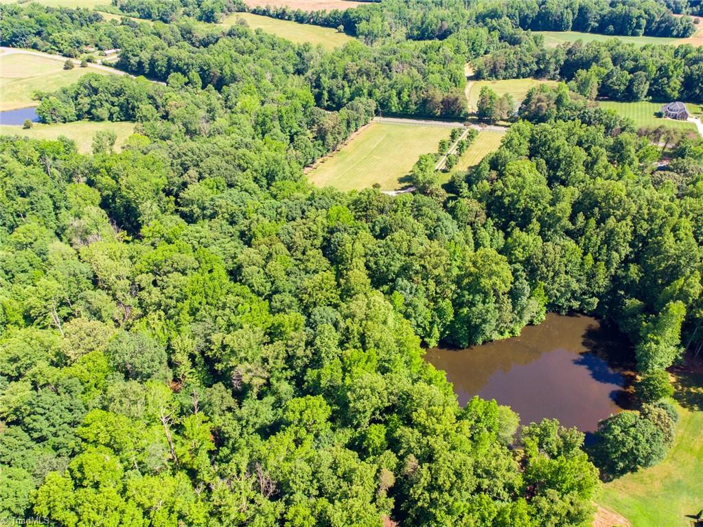 5237 Hopkins Road Reidsville, NC 27320 - Photo 15 of 50 Gallery Image 15