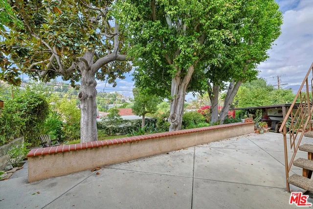 a view of a backyard with potted plants and large tree