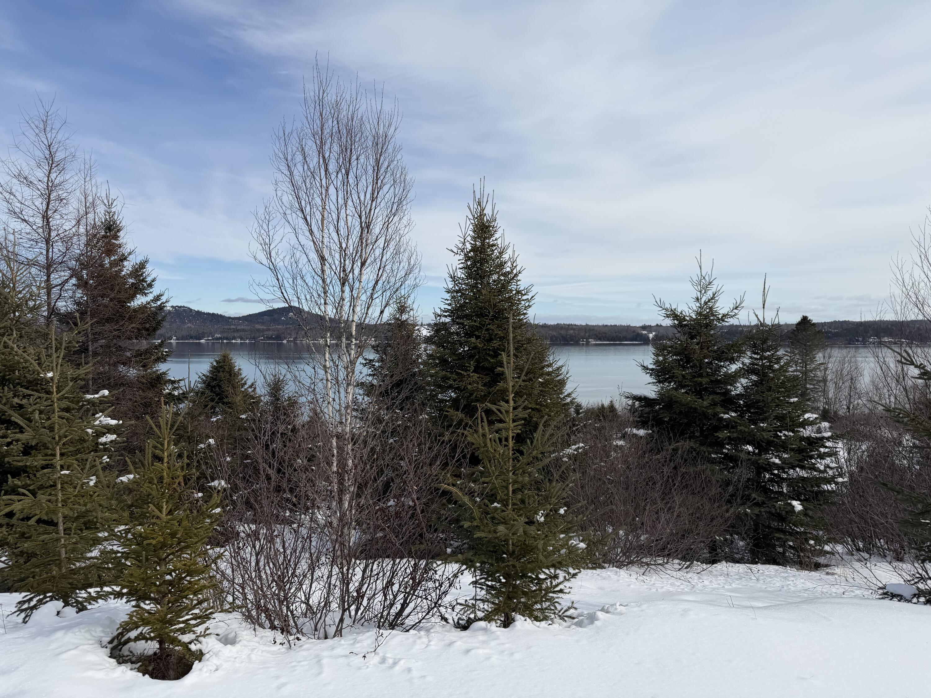 5D868189-4E4F-45A0-AFBF-0E0F53583BDC