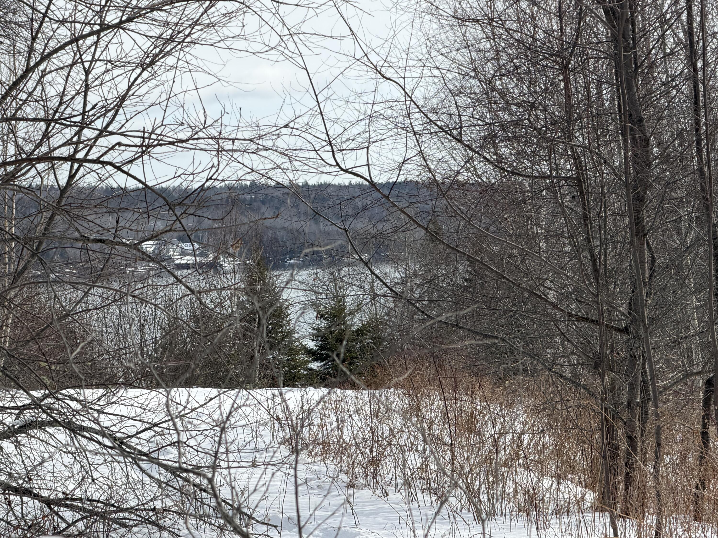 M6-l60-65 Gravel Road Robbinston, ME 04671 - Photo 11 of 18 1A12A8F1-CDE5-471F-B282-08E9996AFF25