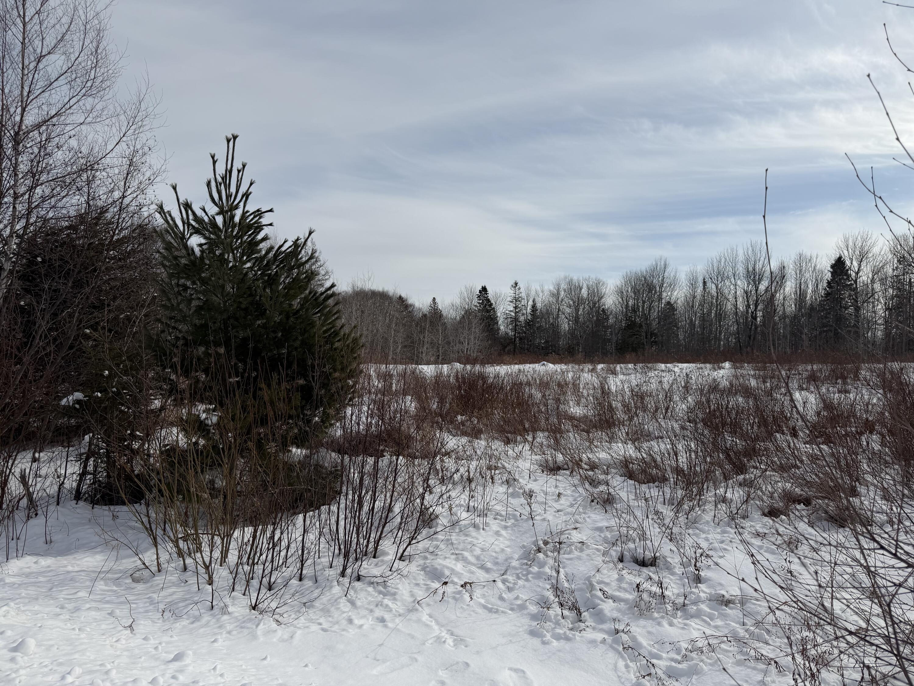 M6-l60-65 Gravel Road Robbinston, ME 04671 - Photo 15 of 18 7F5FE7CF-9E0E-4C9B-912A-9722E1D279C9