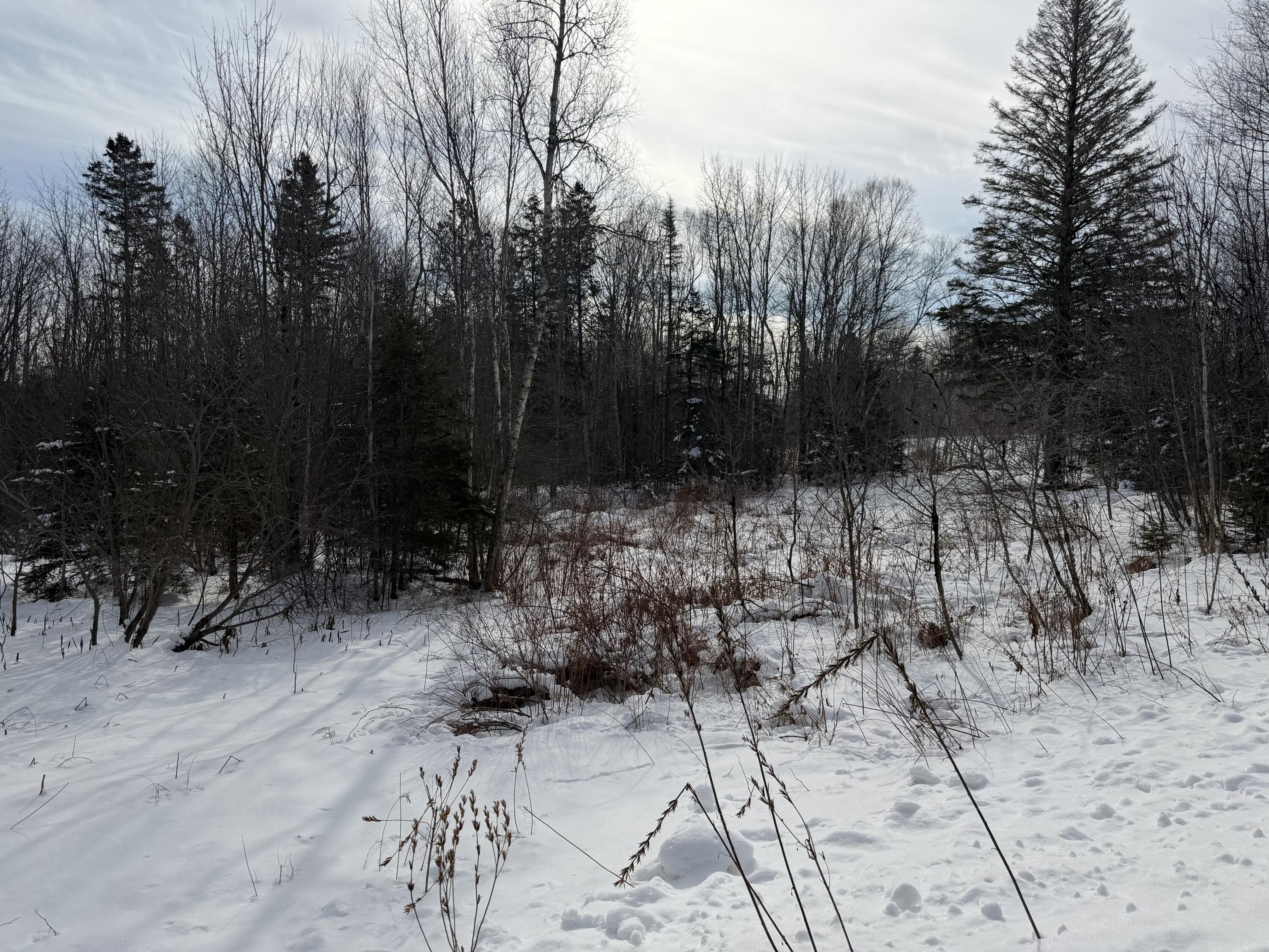 M6-l60-65 Gravel Road Robbinston, ME 04671 - Photo 16 of 18 95A16B42-6D02-4983-A869-7ADEB63CDEB5