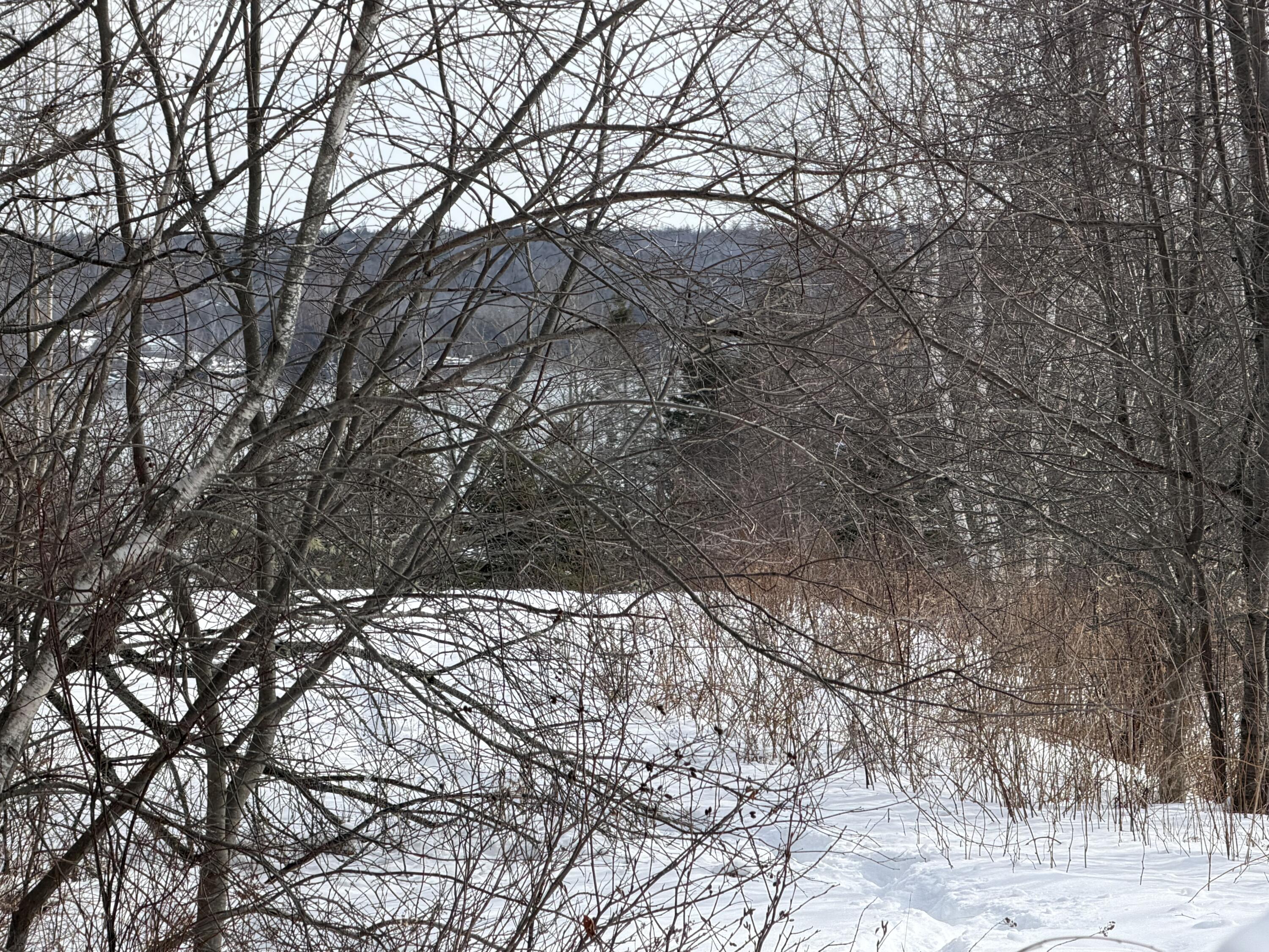 M6-l60-65 Gravel Road Robbinston, ME 04671 - Photo 17 of 18 120C80EA-E96A-4D30-BD18-5523C35FAF3E