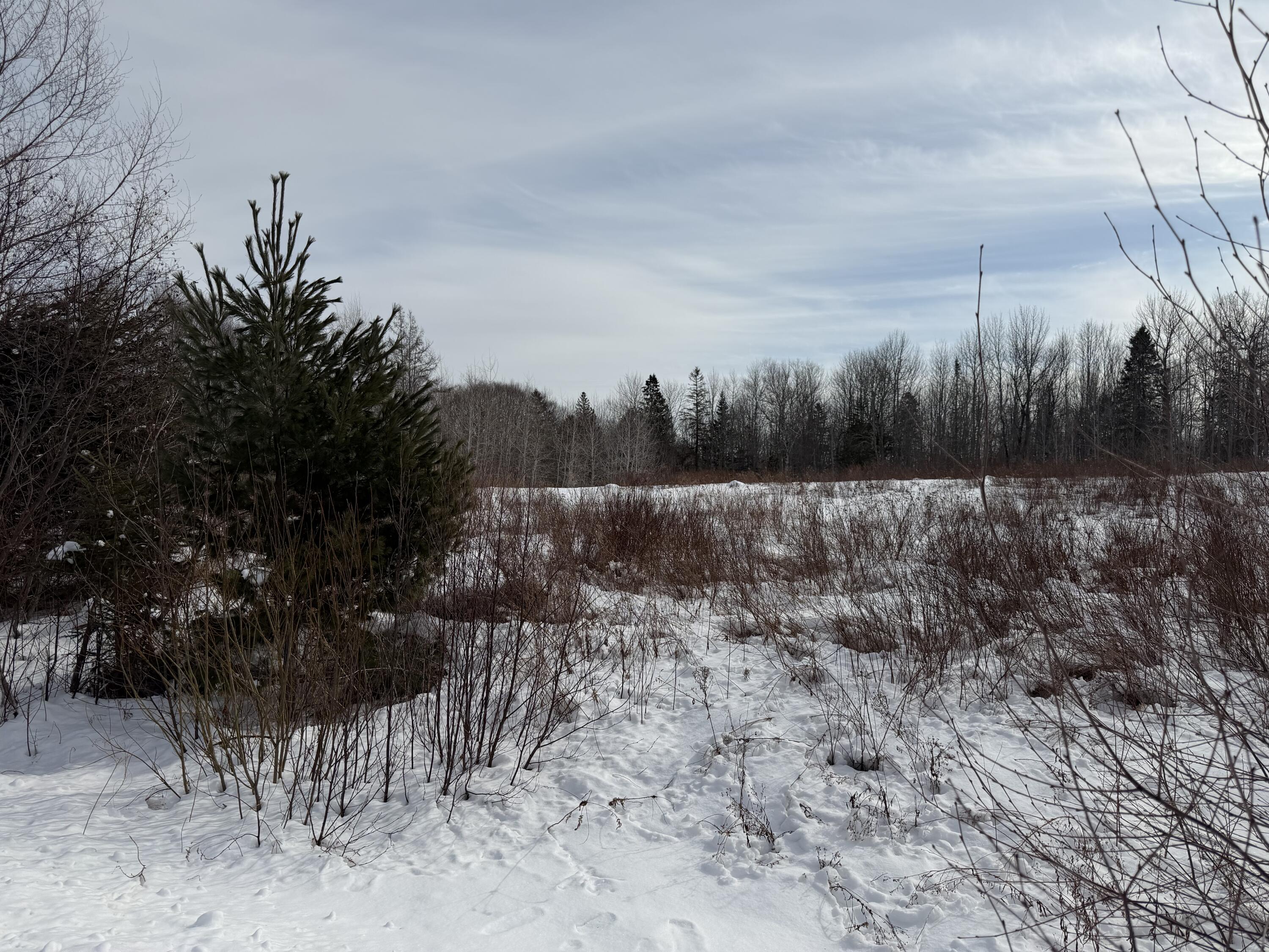 M6-l60-65 Gravel Road Robbinston, ME 04671 - Photo 18 of 18 934944D6-3DAF-4EE9-8D0C-584246EF9515