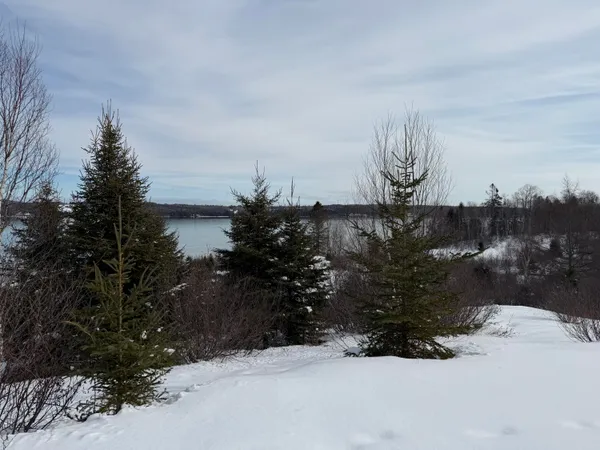 $350,000 | M6-l60-65 Gravel Road, Robbinston, ME 04671