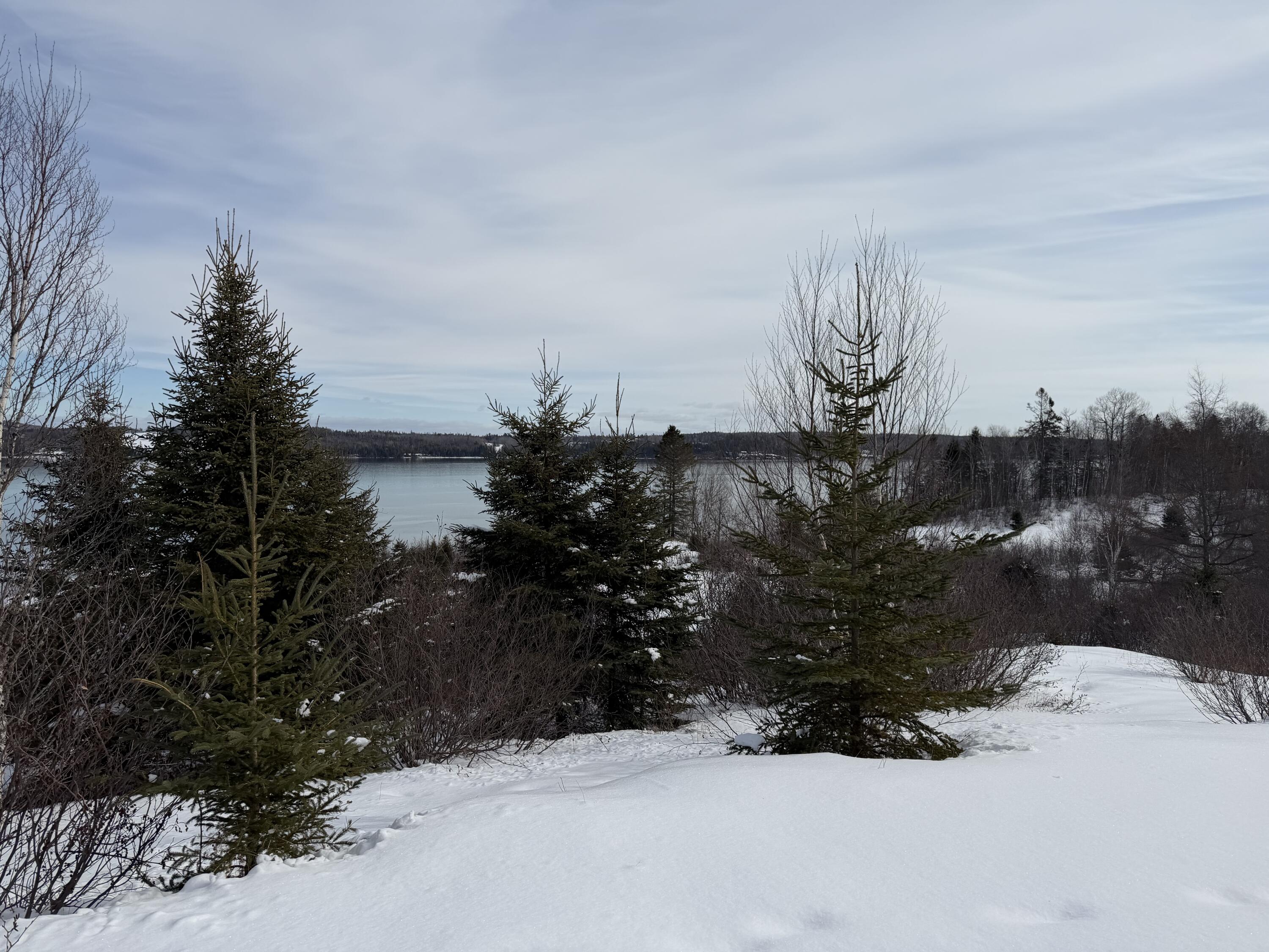 M6-l60-65 Gravel Road Robbinston, ME 04671 - Photo 3 of 18 6DF313C0-7668-4CF0-AEC3-17738C75FD88