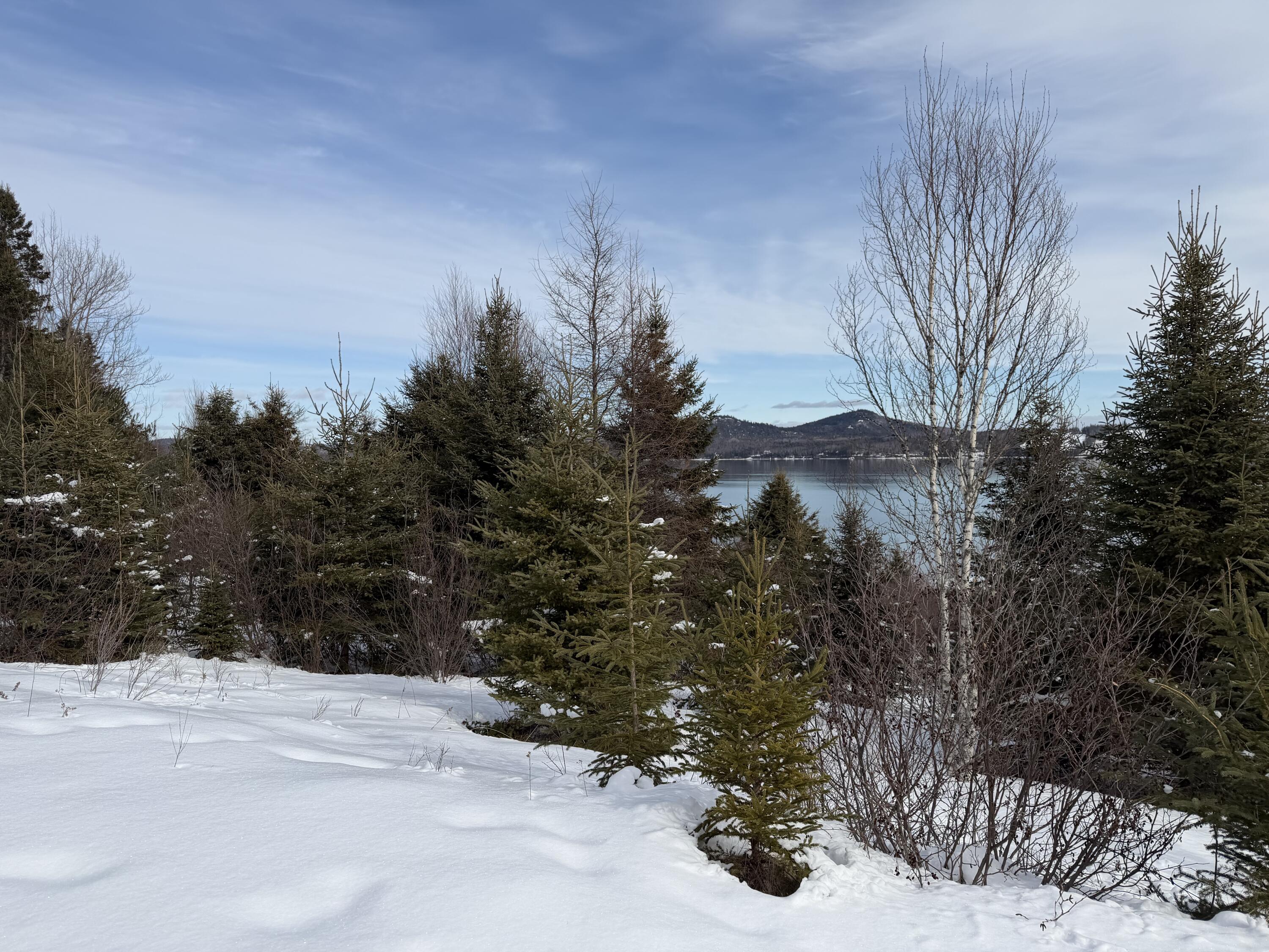 M6-l60-65 Gravel Road Robbinston, ME 04671 - Photo 4 of 18 5DC17D19-094E-4DAB-8080-9C20FA1BFCE9