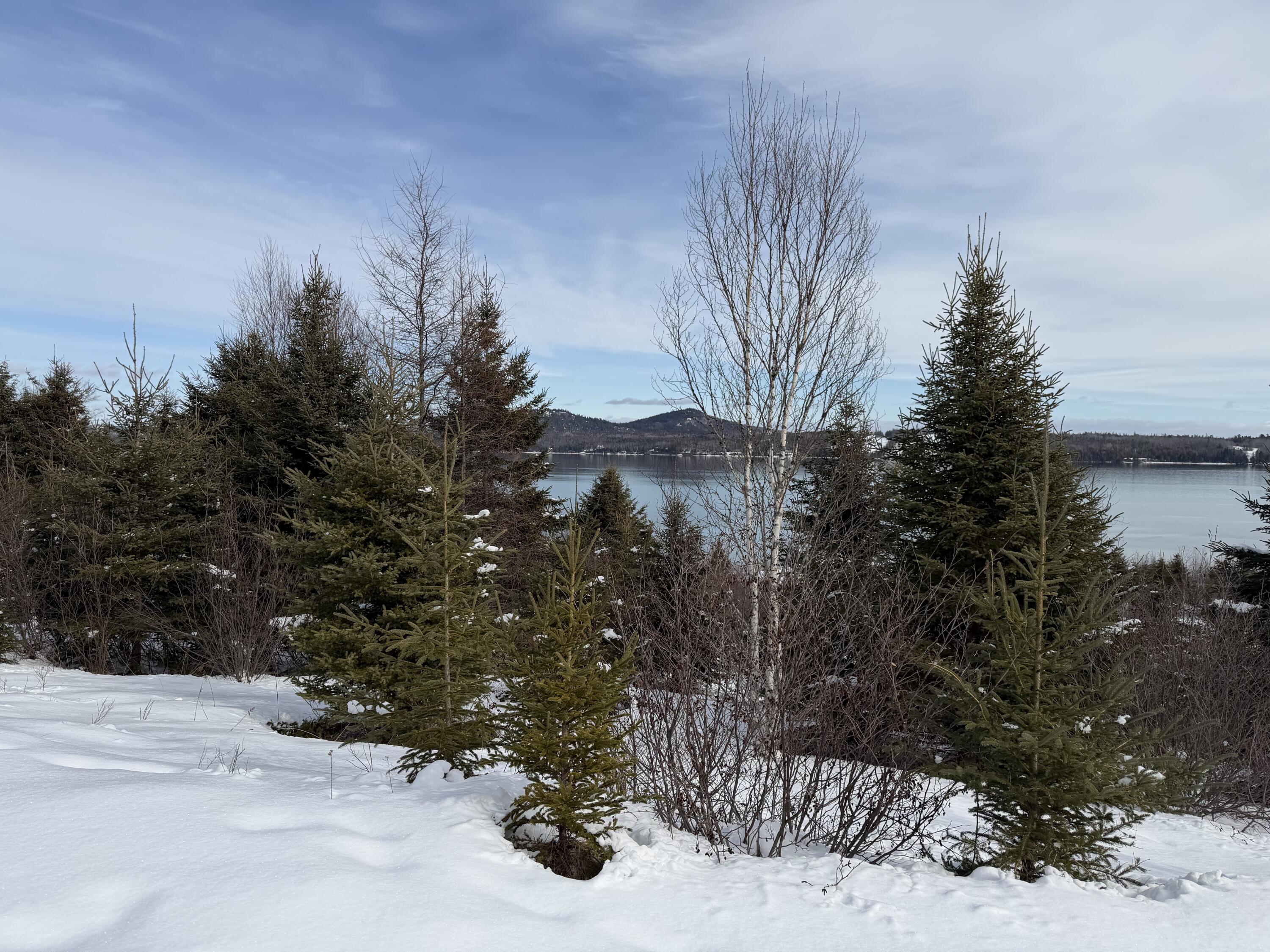 M6-l60-65 Gravel Road Robbinston, ME 04671 - Photo 5 of 18 022B9DA0-577F-4D69-BC50-C3F711D3AADD