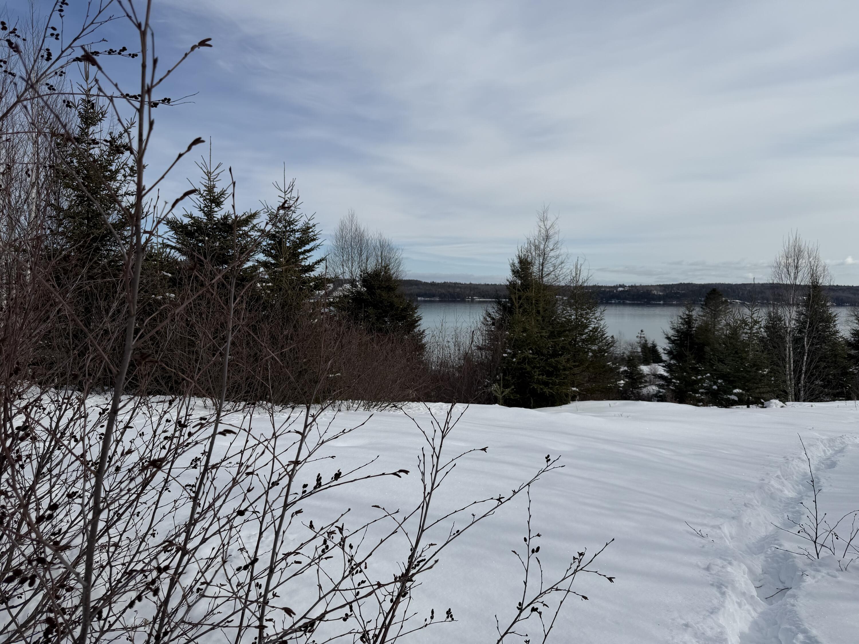 M6-l60-65 Gravel Road Robbinston, ME 04671 - Photo 6 of 18 C35B88D6-85DA-4AE7-93B7-CCAC5CAE1981