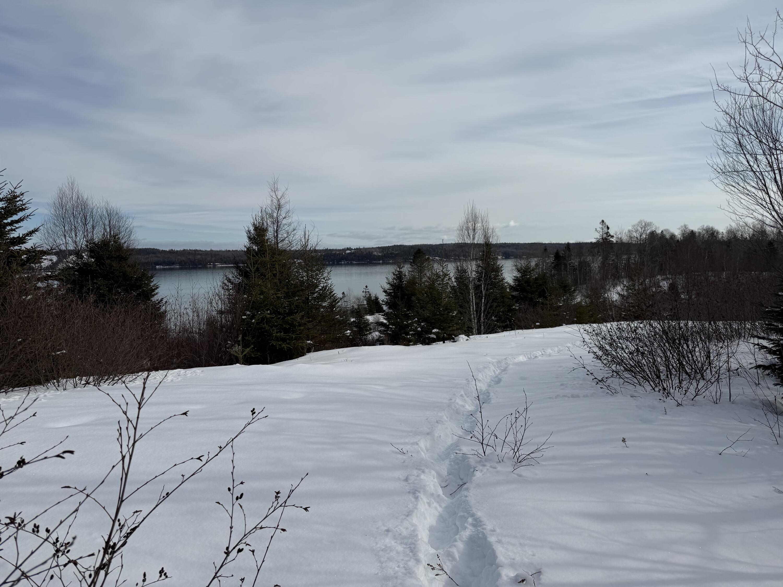 M6-l60-65 Gravel Road Robbinston, ME 04671 - Photo 7 of 18 8B9EFFB3-6FDC-469E-AACB-7AE9101F36B4