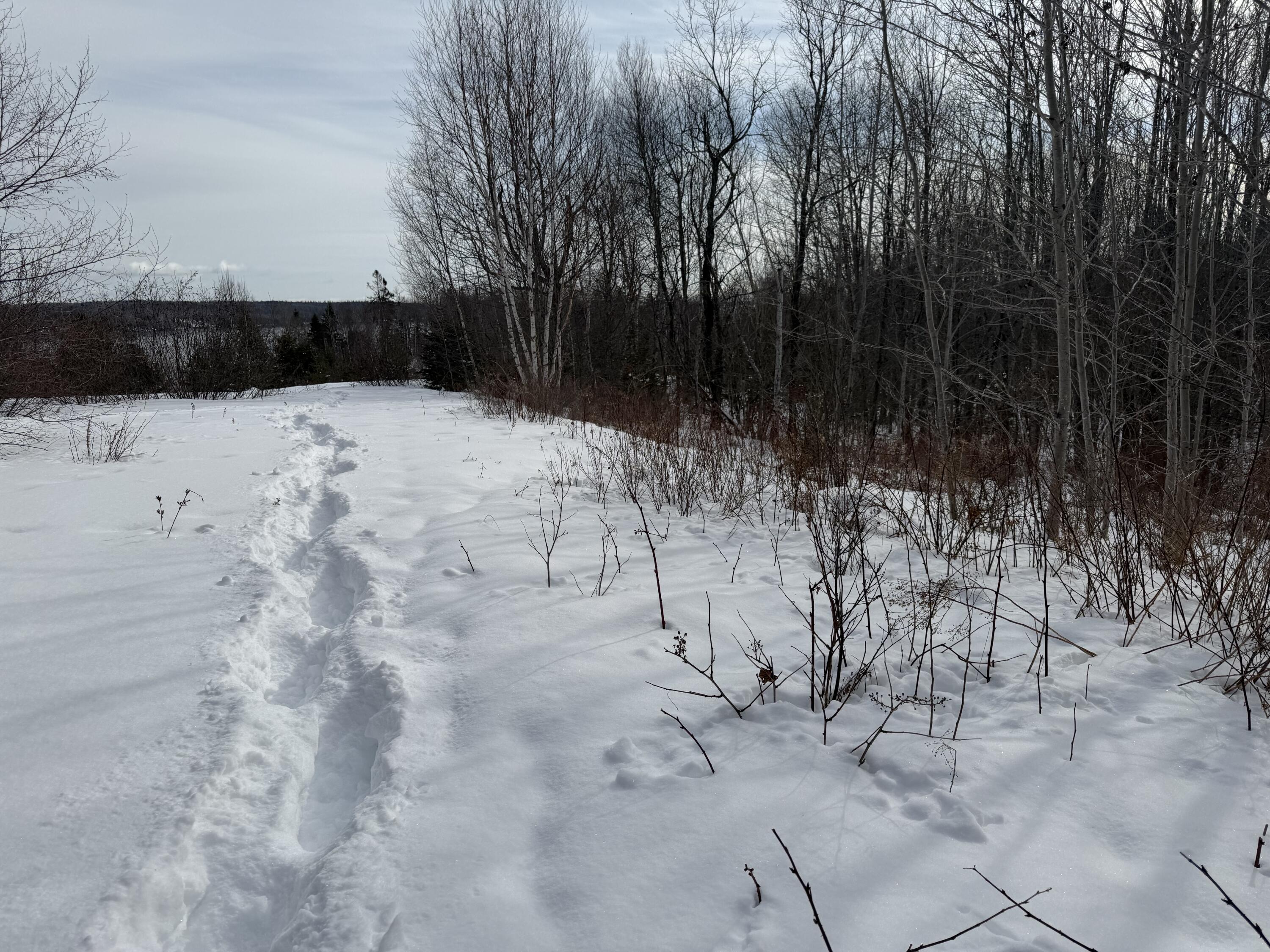 M6-l60-65 Gravel Road Robbinston, ME 04671 - Photo 8 of 18 3846EAFE-198E-4B19-9D46-AEF5E4F9A1E9
